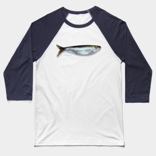 Sardine Fish Baseball T-Shirt